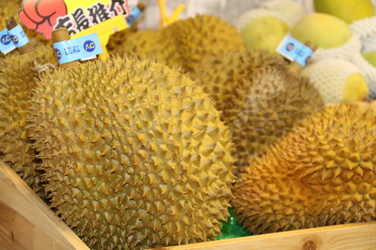 榴蓮
