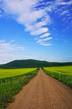 田野之路