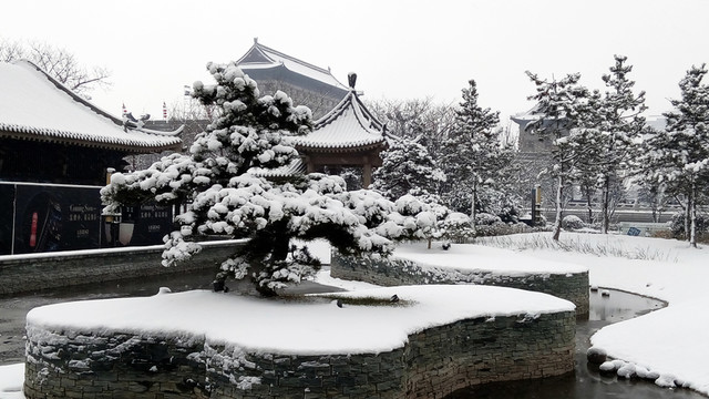 雪景 雪 白雪
