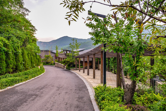 山地道路景觀