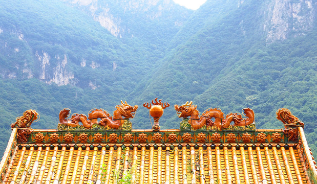 寺院 青山 龍