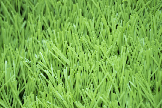 人工草坪特寫(xiě)