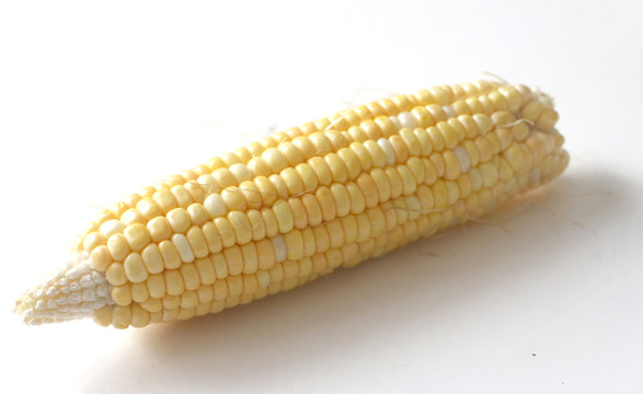玉米