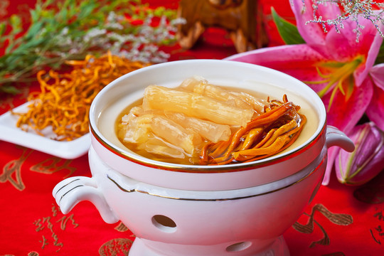 蟲(chóng)草花燉白花膠