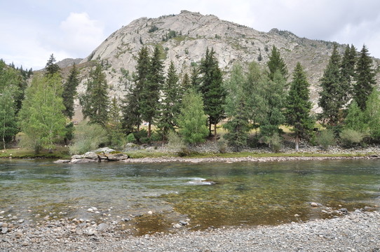 大山 樹林 河流