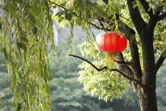 古運(yùn)河畔