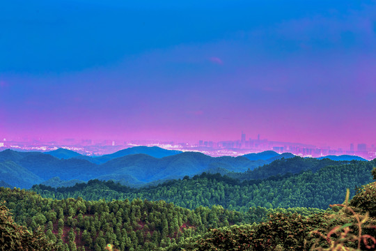 高峰林場