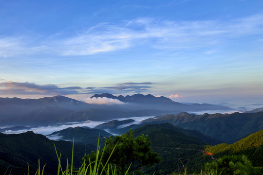 山景
