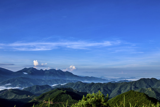 山景