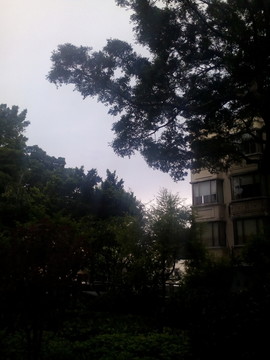 綠樹濃蔭