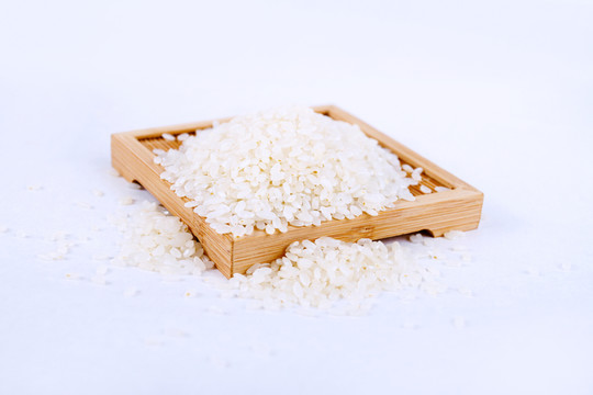 水稻 長(zhǎng)粒米 