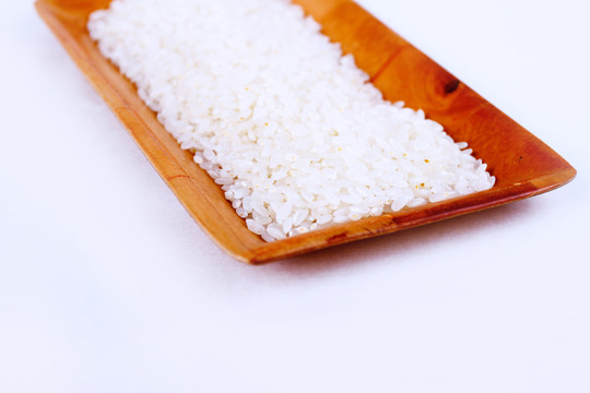 水稻 長(zhǎng)粒米 