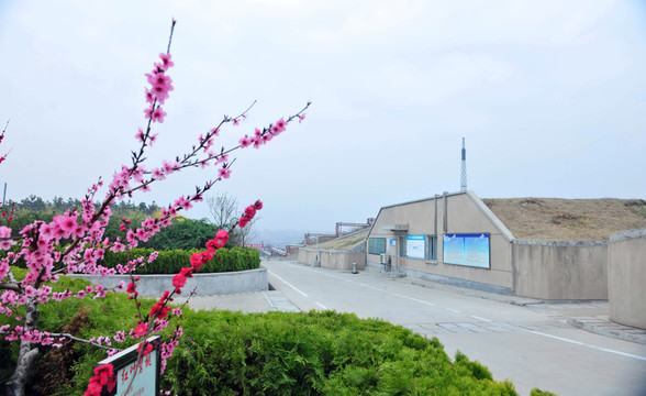 廠區(qū)風(fēng)景  工廠綠化  園區(qū)