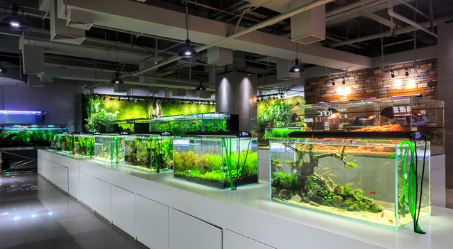 水族店