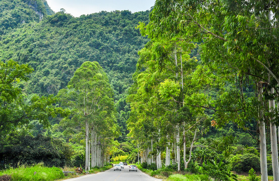 山區(qū)公路
