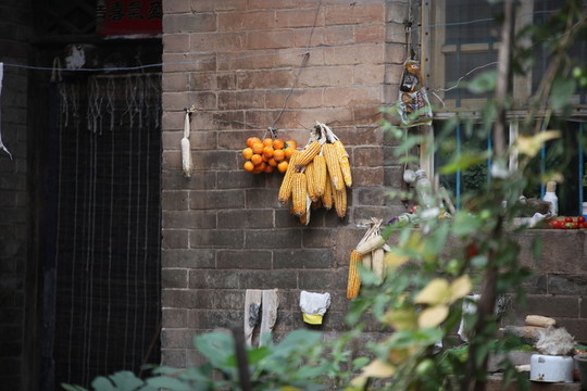 鄉(xiāng)村生活