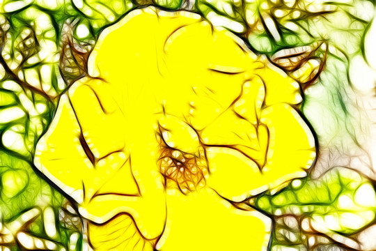 黃色月季花