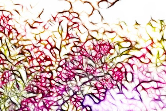 滿堂紅花卉