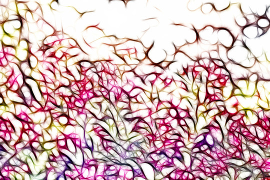 滿堂紅花卉