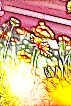 鄒菊花叢