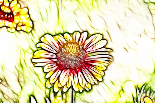 鄒菊花叢