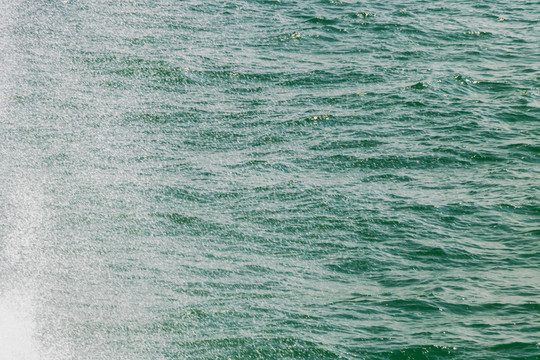 海水