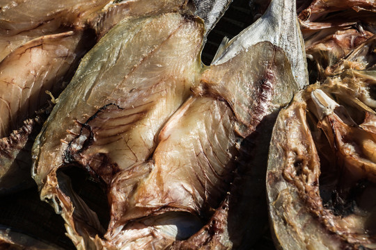 曬魚(yú)干