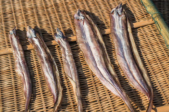 海產(chǎn)品