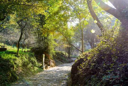 陽光綠色梅關(guān)古道