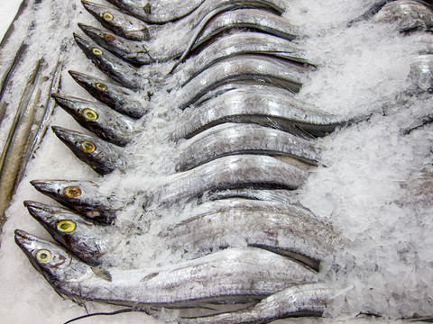 冰柜里的帶魚(yú)