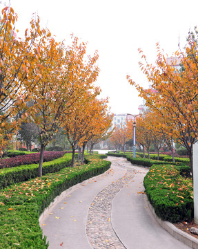 公園風(fēng)景 公園道路