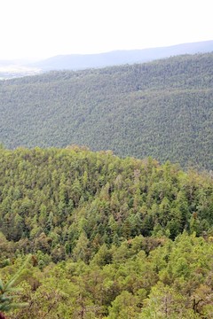 群山