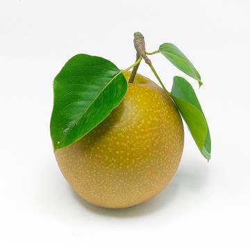 黃金梨