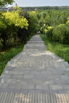 下山路
