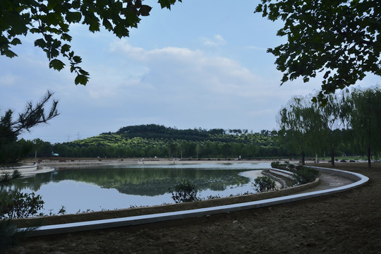 傍晚公園