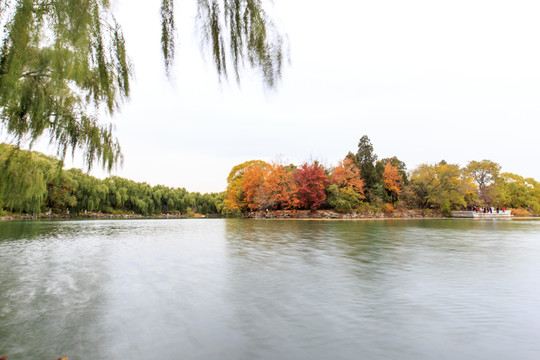 北大校園風(fēng)光未名湖石舫秋天景色