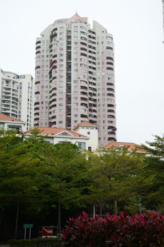 深圳風(fēng)光