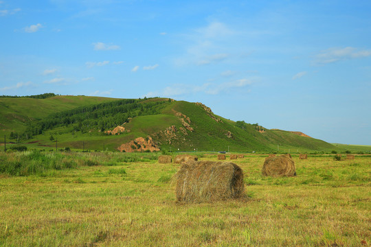 草原風(fēng)光