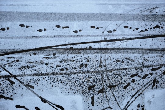 雪中印