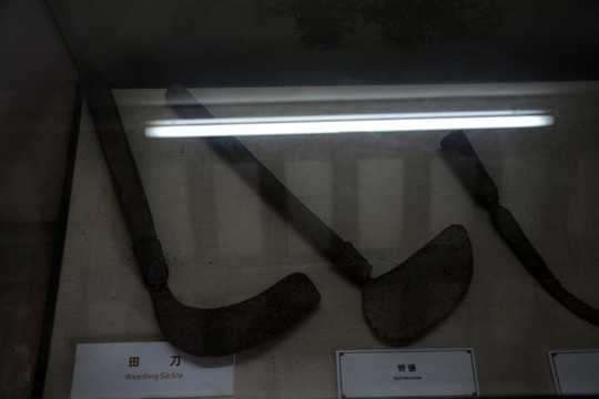 鐮刀
