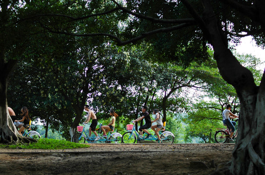 番禺大夫山森林公園