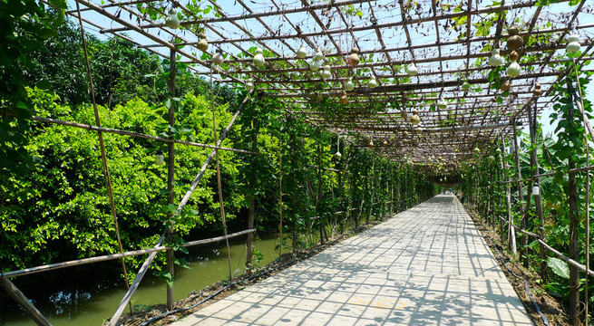 綠道 旅游 景觀 公園
