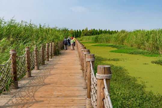 滇池濕地公園