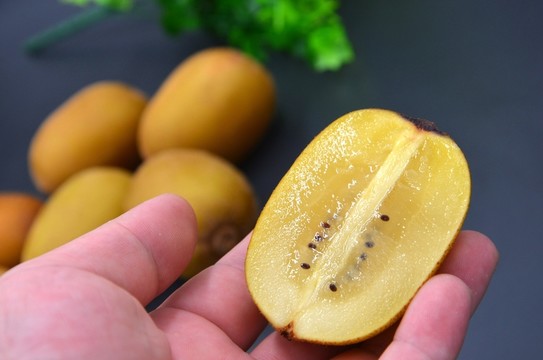 獼猴桃 奇異果