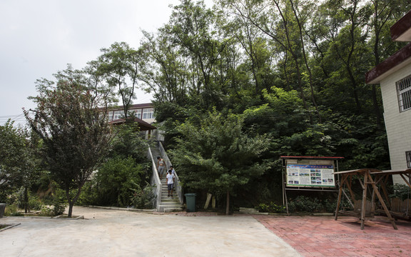 九里山水土保持工程