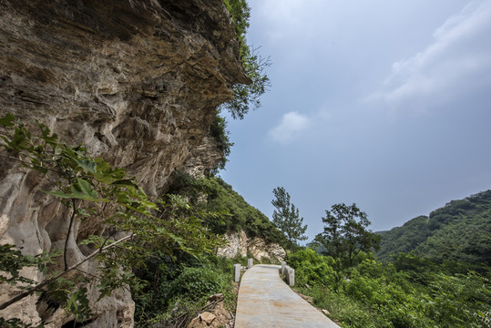 九里山水土保持工程