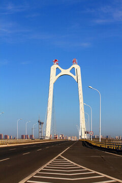 大慶 濕地高架橋