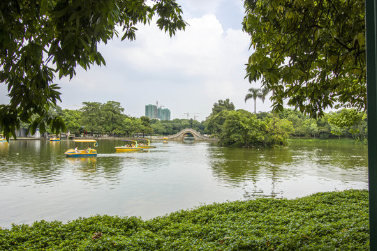 廣東省佛山市中山公園