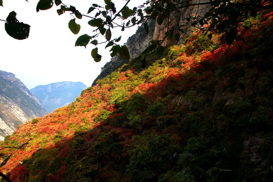 神女峰