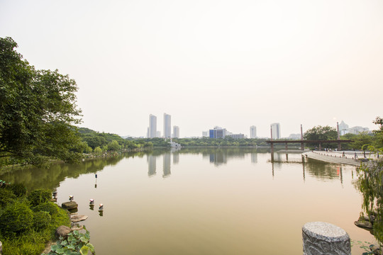 廣東省佛山市雷崗公園